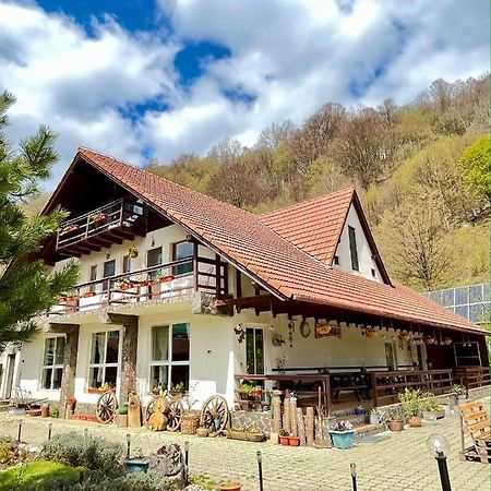 Pensiunea Piatra-Craiului Зэрнешти Экстерьер фото