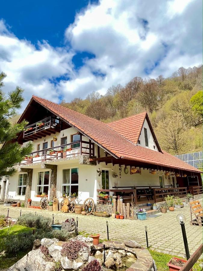 Pensiunea Piatra-Craiului Зэрнешти Экстерьер фото